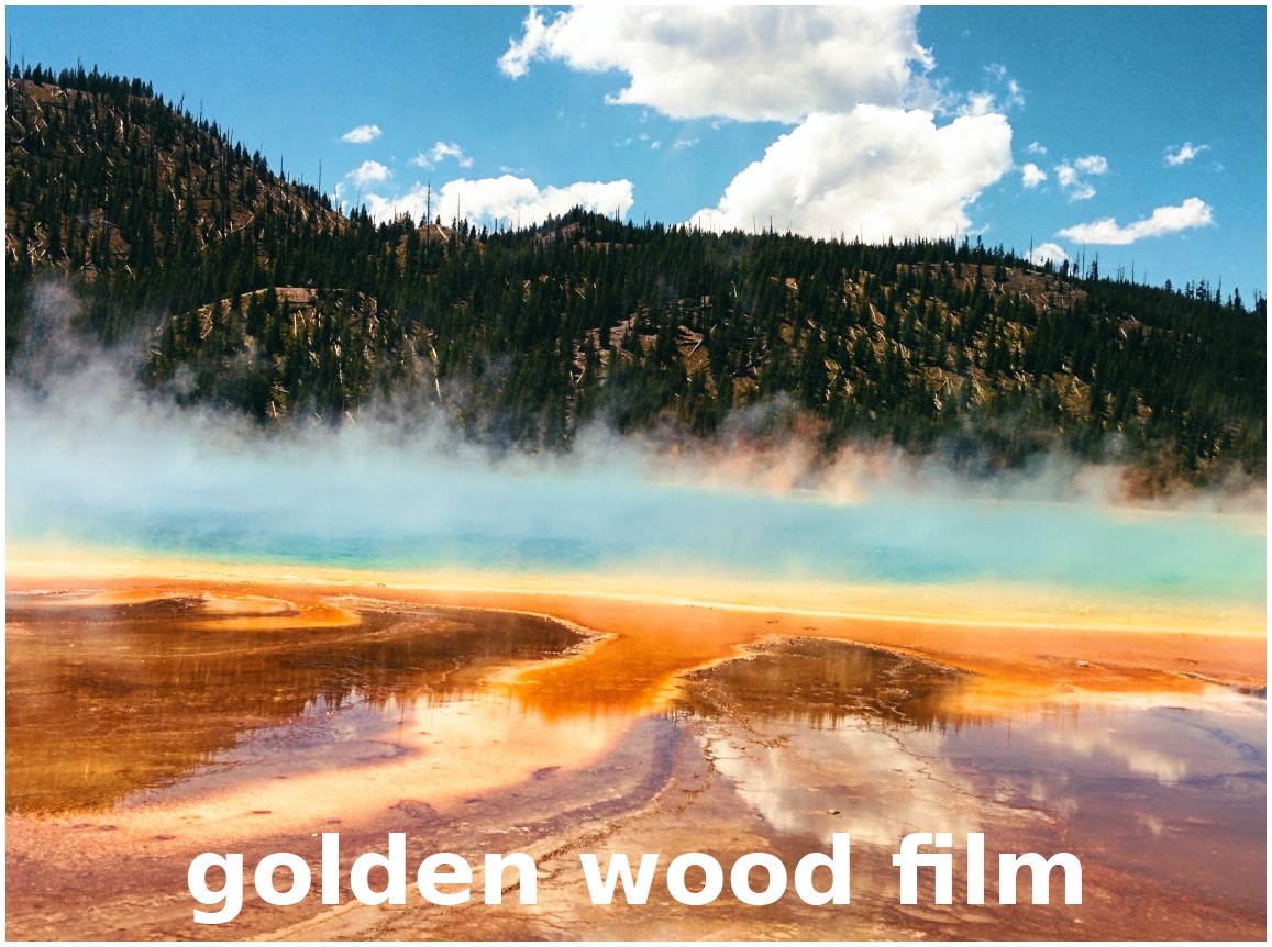 _images/film_stock_%26_vintage_golden_wood_film.jpg